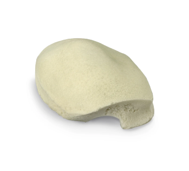 Advanced Venipuncture and Injection Arm - Light - Image 3