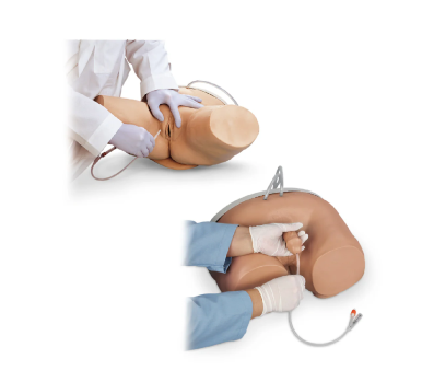 Male & Female Catheterization Simulator Set