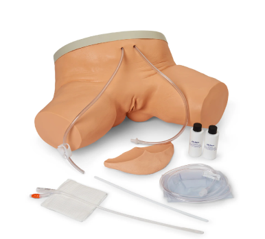 Female Catheterization Simulator