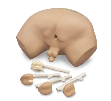 Prostate Examination Simulator